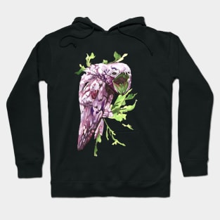 Potoo Hoodie